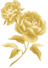 Peony