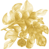 Fig tree leaves