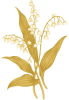Lily of the valley
