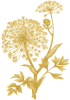 Galbanum