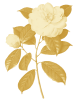 White camelia