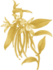 Vanilla